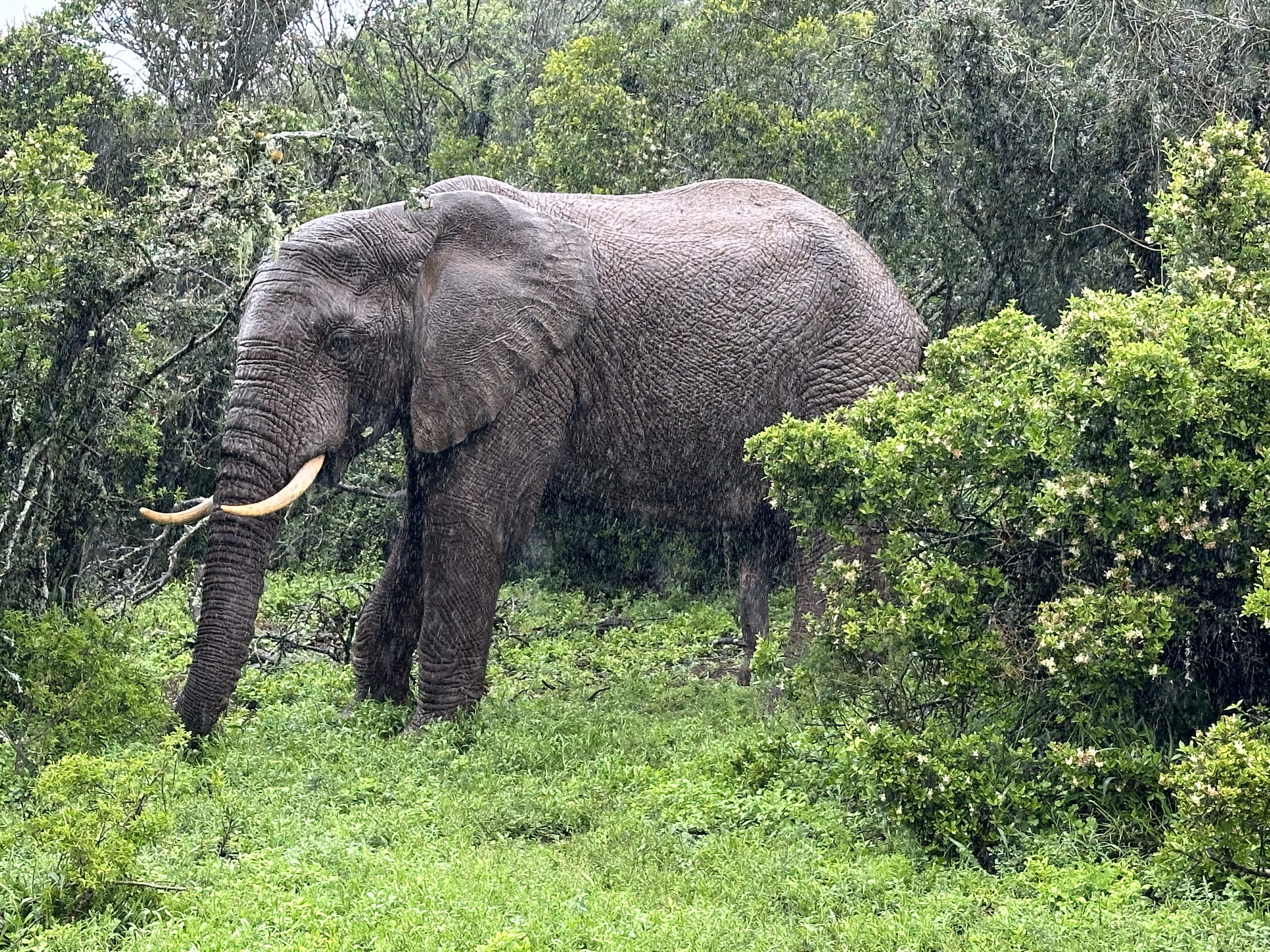 20231007 084305531 ios